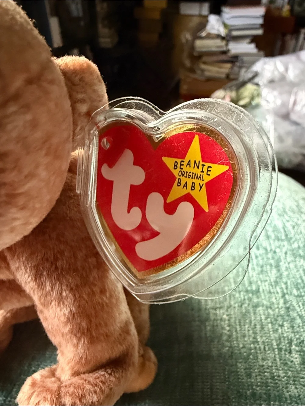 Ty 